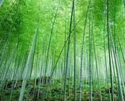 宜兴后天天气